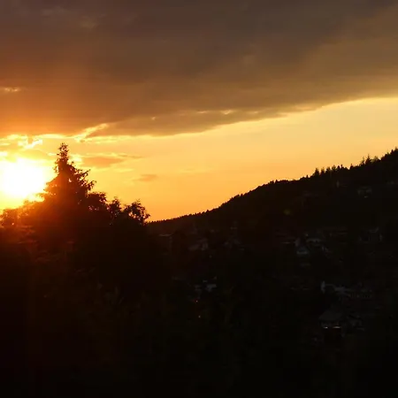 Apartment Muhr Bodenmais